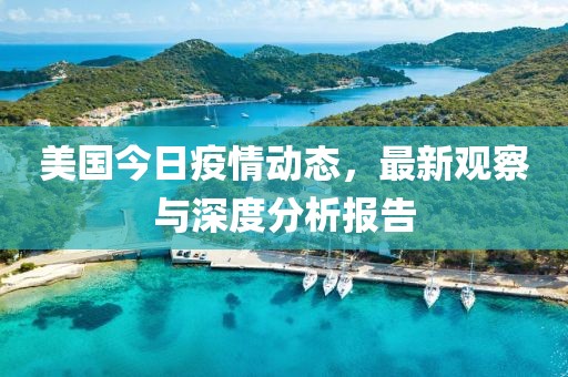 美国今日疫情动态，最新观察与深度分析报告