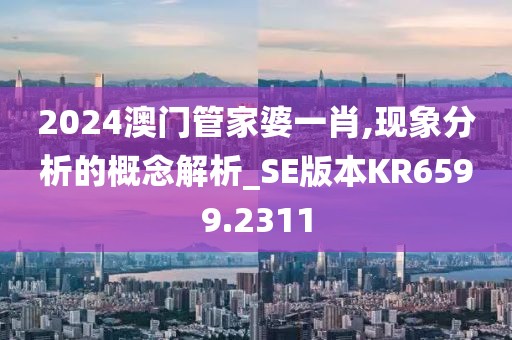 2024澳门管家婆一肖,现象分析的概念解析_SE版本KR6599.2311