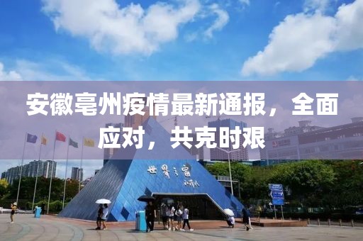 安徽亳州疫情最新通报，全面应对，共克时艰