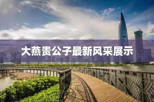大燕贵公子最新风采展示
