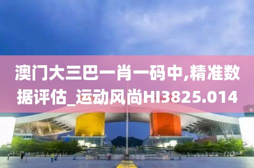澳门大三巴一肖一码中,精准数据评估_运动风尚HI3825.014