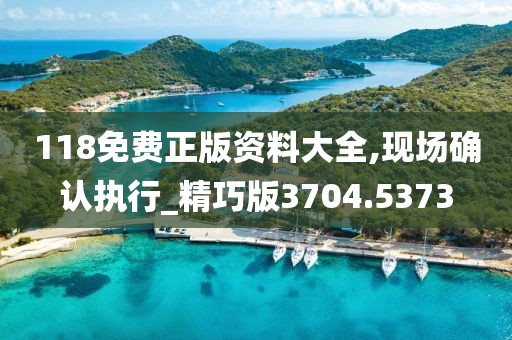 118免费正版资料大全,现场确认执行_精巧版3704.5373