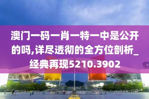 阳光拐个弯 第41页