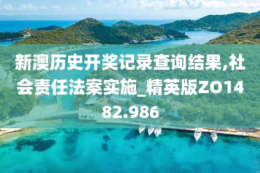 新澳历史开奖记录查询结果,社会责任法案实施_精英版ZO1482.986