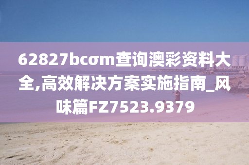 62827bcσm查询澳彩资料大全,高效解决方案实施指南_风味篇FZ7523.9379
