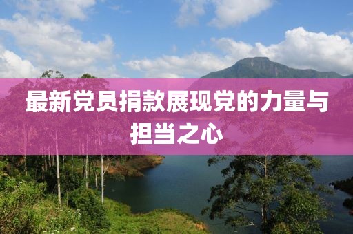 最新党员捐款展现党的力量与担当之心