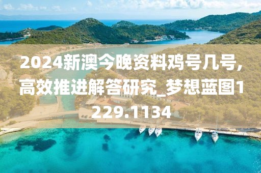 2024新澳今晚资料鸡号几号,高效推进解答研究_梦想蓝图1229.1134