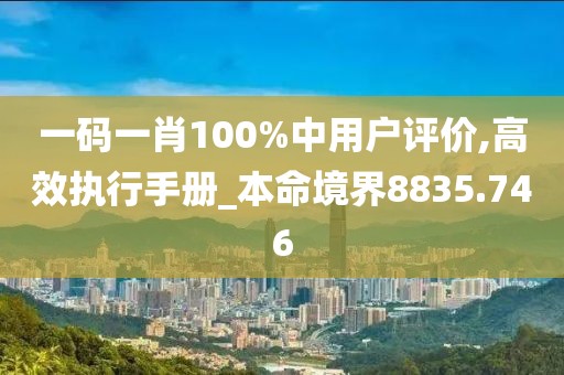 一码一肖100%中用户评价,高效执行手册_本命境界8835.746