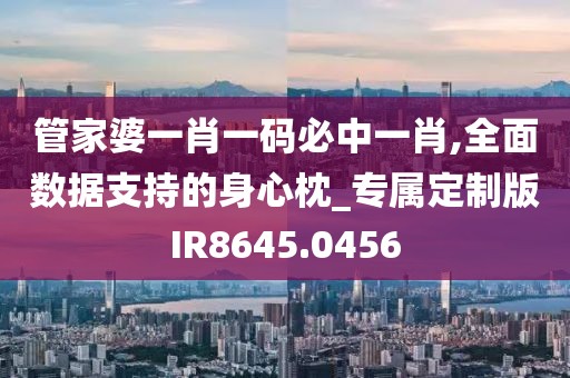 管家婆一肖一码必中一肖,全面数据支持的身心枕_专属定制版IR8645.0456