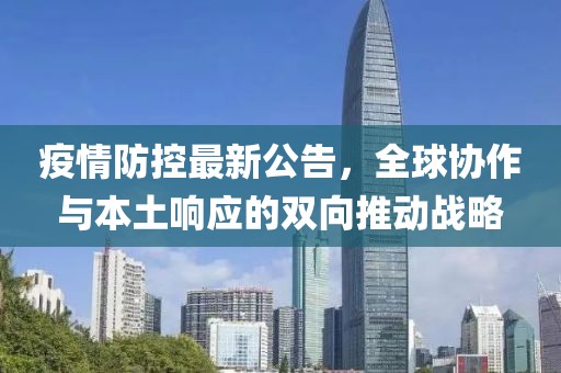 疫情防控最新公告，全球协作与本土响应的双向推动战略