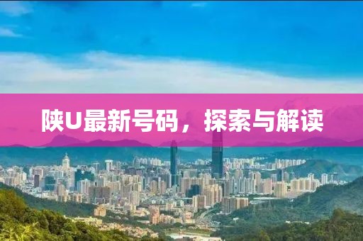 陕U最新号码，探索与解读