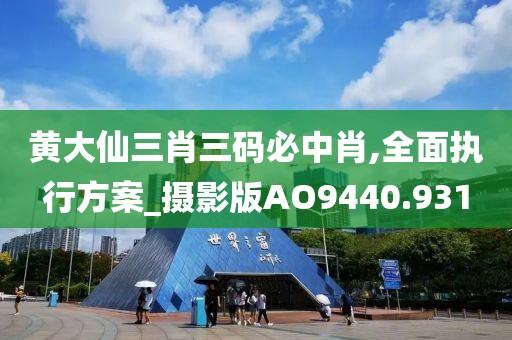 黄大仙三肖三码必中肖,全面执行方案_摄影版AO9440.931