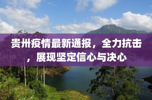 贵卅疫情最新通报，全力抗击，展现坚定信心与决心