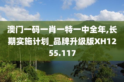 澳门一码一肖一特一中全年,长期实施计划_品牌升级版XH1255.117