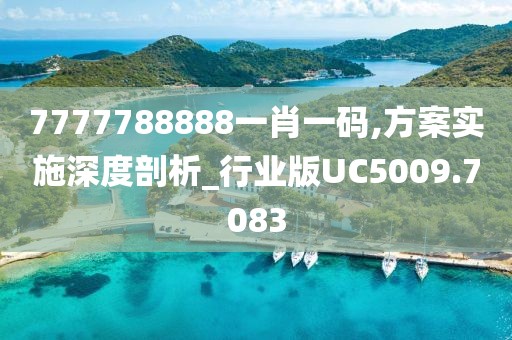 7777788888一肖一码,方案实施深度剖析_行业版UC5009.7083