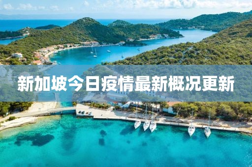 新加坡今日疫情最新概况更新