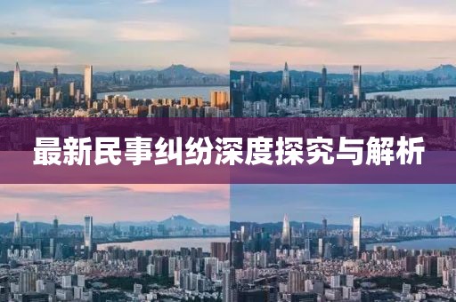 最新民事纠纷深度探究与解析