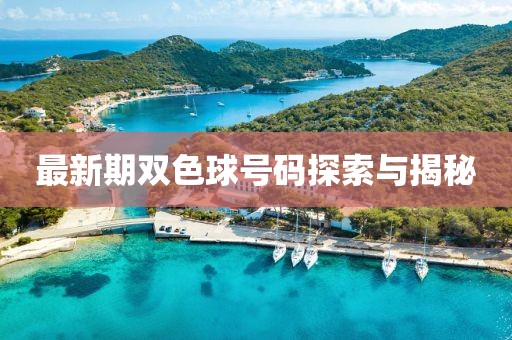 最新期双色球号码探索与揭秘
