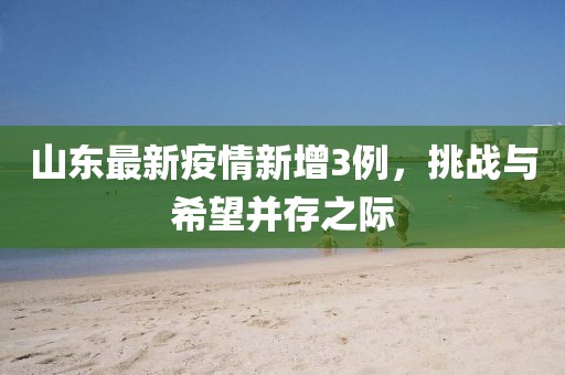 山东最新疫情新增3例，挑战与希望并存之际