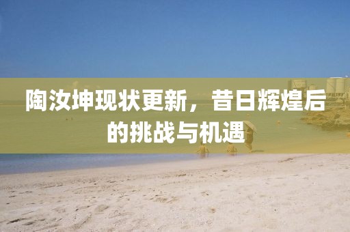 陶汝坤现状更新，昔日辉煌后的挑战与机遇