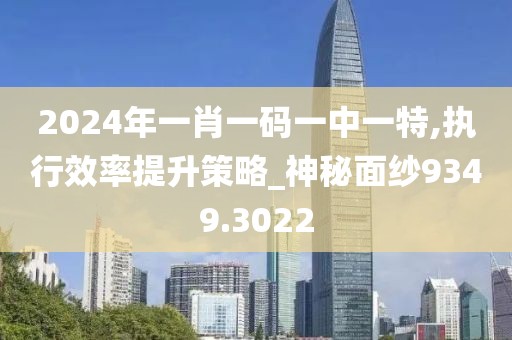 2024年一肖一码一中一特,执行效率提升策略_神秘面纱9349.3022