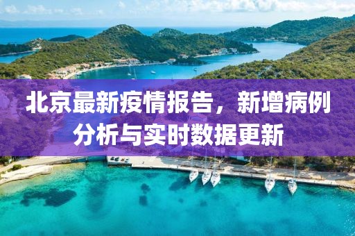北京最新疫情报告，新增病例分析与实时数据更新