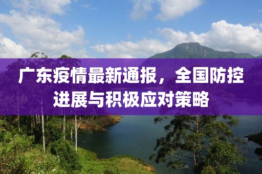 广东疫情最新通报，全国防控进展与积极应对策略