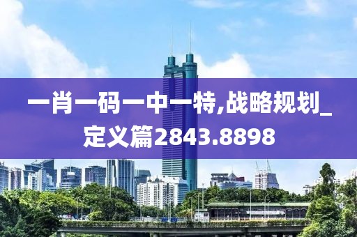 一肖一码一中一特,战略规划_定义篇2843.8898
