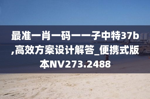 最准一肖一码一一子中特37b,高效方案设计解答_便携式版本NV273.2488