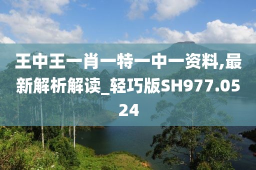王中王一肖一特一中一资料,最新解析解读_轻巧版SH977.0524