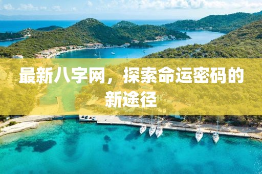 最新八字网，探索命运密码的新途径