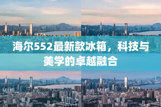海尔552最新款冰箱，科技与美学的卓越融合