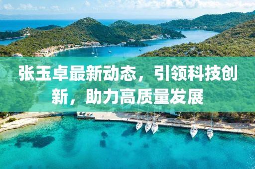 张玉卓最新动态，引领科技创新，助力高质量发展