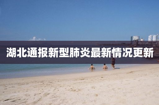 湖北通报新型肺炎最新情况更新