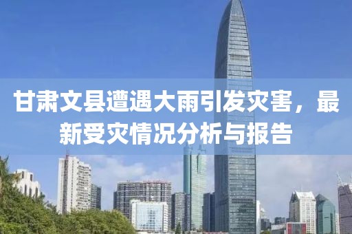 甘肃文县遭遇大雨引发灾害，最新受灾情况分析与报告