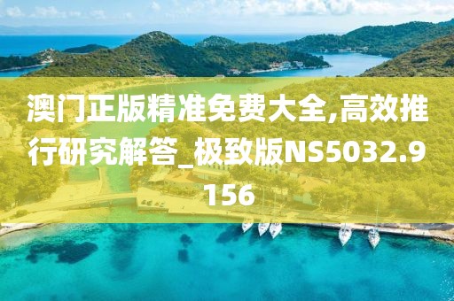 澳门正版精准免费大全,高效推行研究解答_极致版NS5032.9156