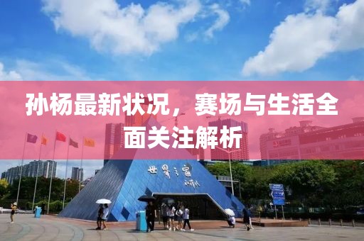 孙杨最新状况，赛场与生活全面关注解析