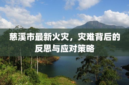 慈溪市最新火灾，灾难背后的反思与应对策略