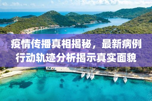 疫情传播真相揭秘，最新病例行动轨迹分析揭示真实面貌