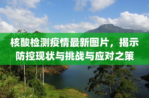 核酸检测疫情最新图片，揭示防控现状与挑战与应对之策