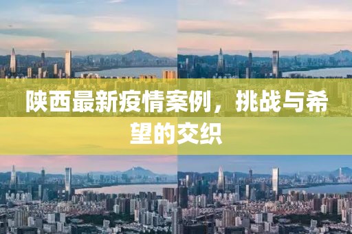 陕西最新疫情案例，挑战与希望的交织