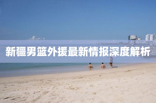新疆男篮外援最新情报深度解析