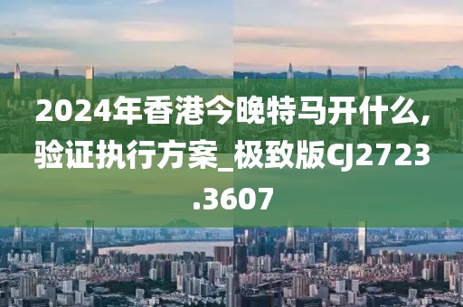 2024年香港今晚特马开什么,验证执行方案_极致版CJ2723.3607