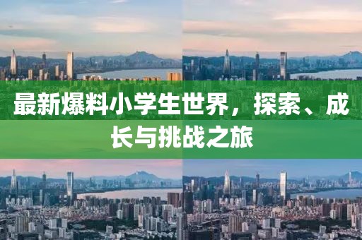 最新爆料小学生世界，探索、成长与挑战之旅