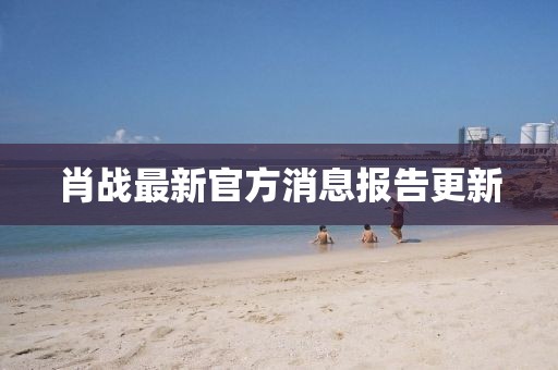 肖战最新官方消息报告更新