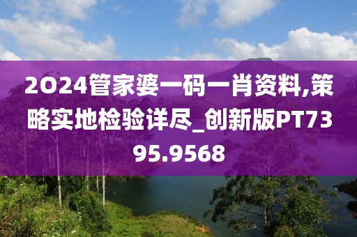 2O24管家婆一码一肖资料,策略实地检验详尽_创新版PT7395.9568