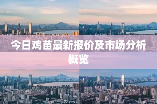 今日鸡苗最新报价及市场分析概览