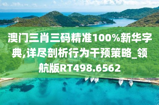 澳门三肖三码精准100%新华字典,详尽剖析行为干预策略_领航版RT498.6562