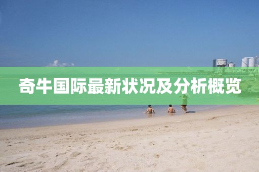 奇牛国际最新状况及分析概览