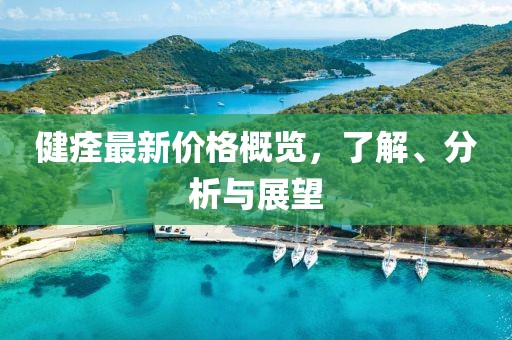健痊最新价格概览，了解、分析与展望